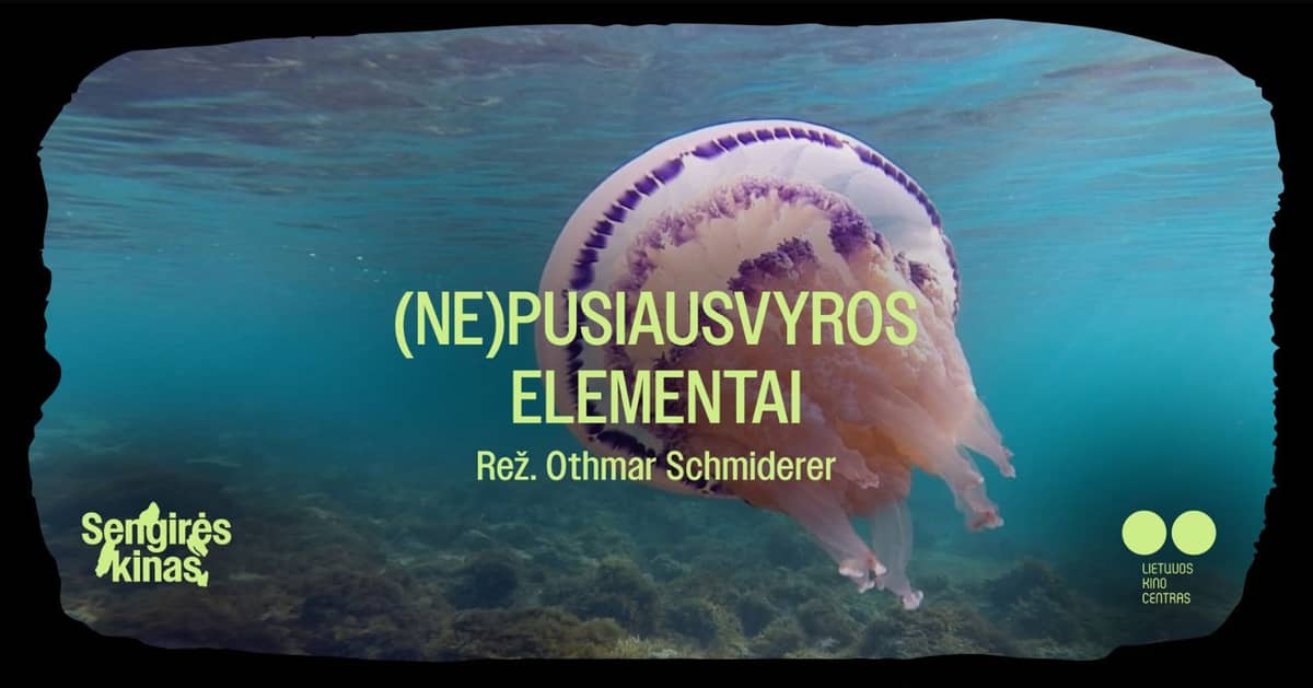 SENGIRĖS KINO Kaunas Vinca Kudirkas publiskajā bibliotēkā: „(Ne)līdzsvara elementi“
