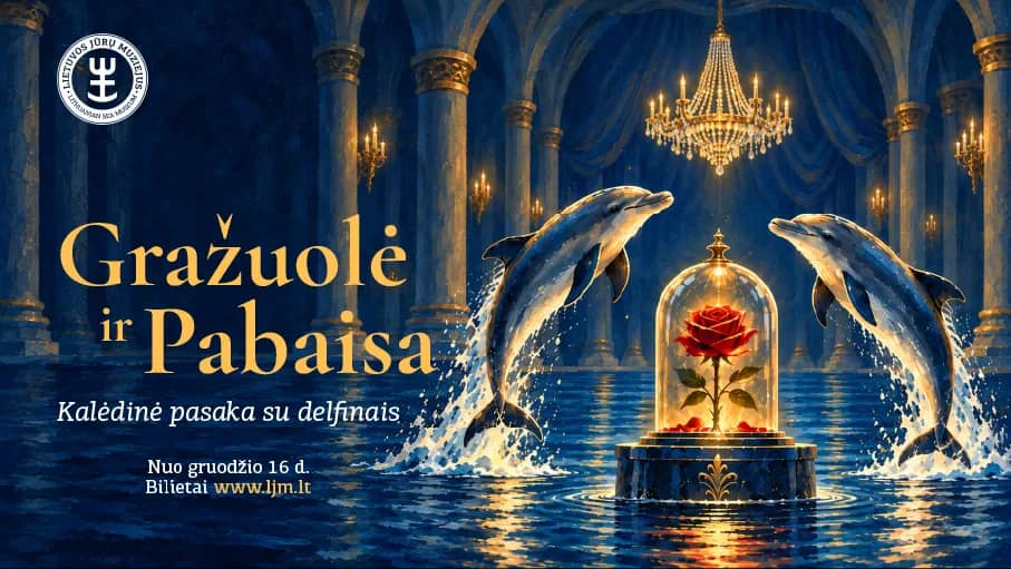 Ziemassvētku pasaka ar delfīniem „Skaistule un Briesmonis“