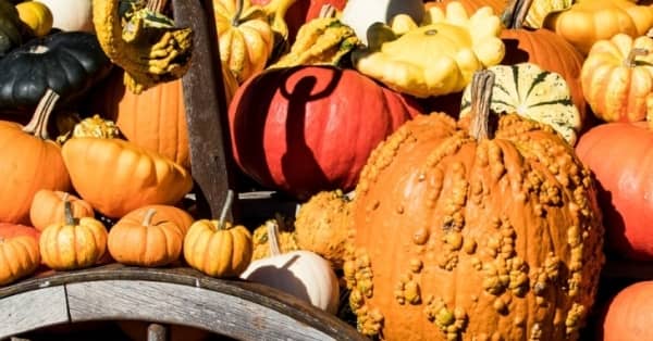 Rudens ražas tirdziņš Rožu laukumā