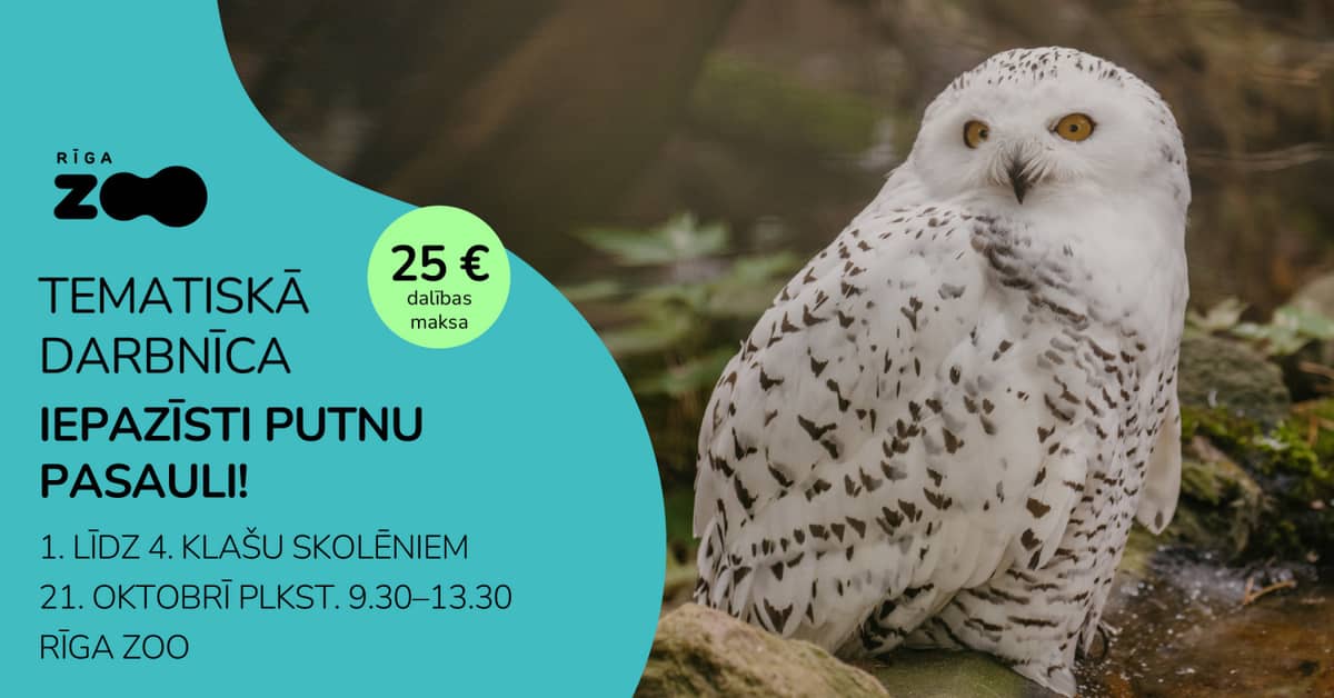 Tematiskā diena Rīga ZOO - 'Iepazīsti putnu pasauli!'