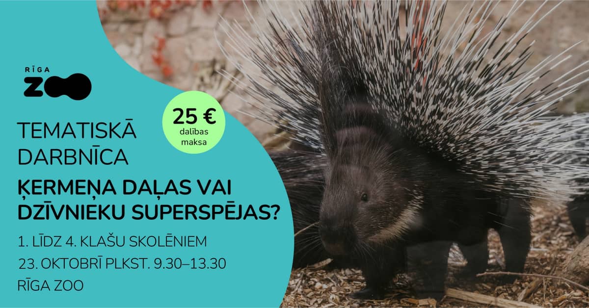Tematiskā diena Rīga ZOO - 'Ķermeņa daļas vai dzīvnieku superspējas?'