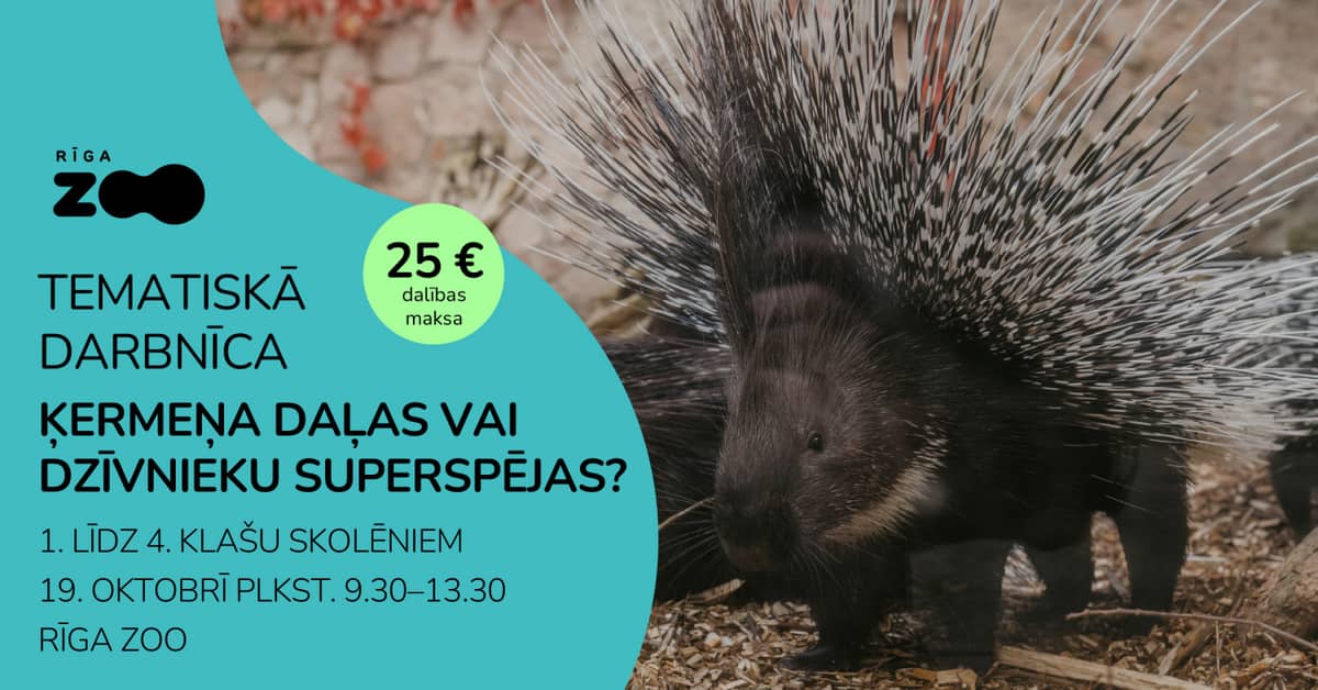 Tematiskā diena Rīga ZOO - 'Ķermeņa daļas vai dzīvnieku superspējas?'