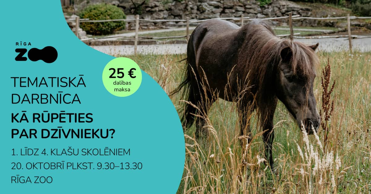 Tematiskā diena Rīga ZOO - 'Kā rūpēties par dzīvniekiem?'