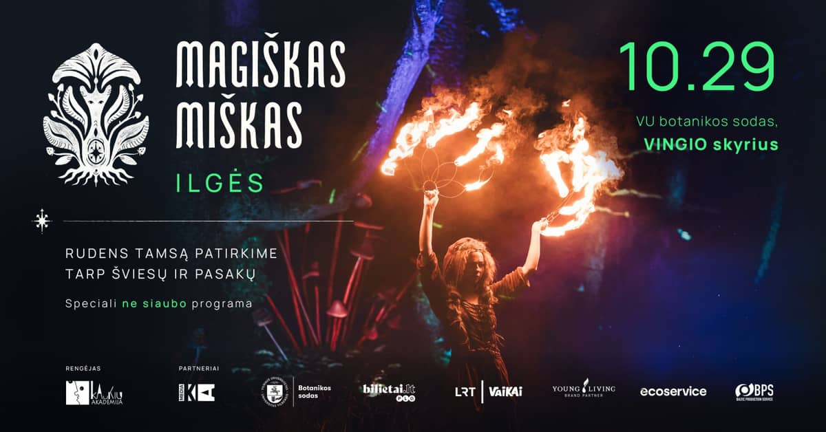 MAĢISKĀ MEŽS. ILGĖ — pieredzes gaismas izrāde visu augumu bērniem *