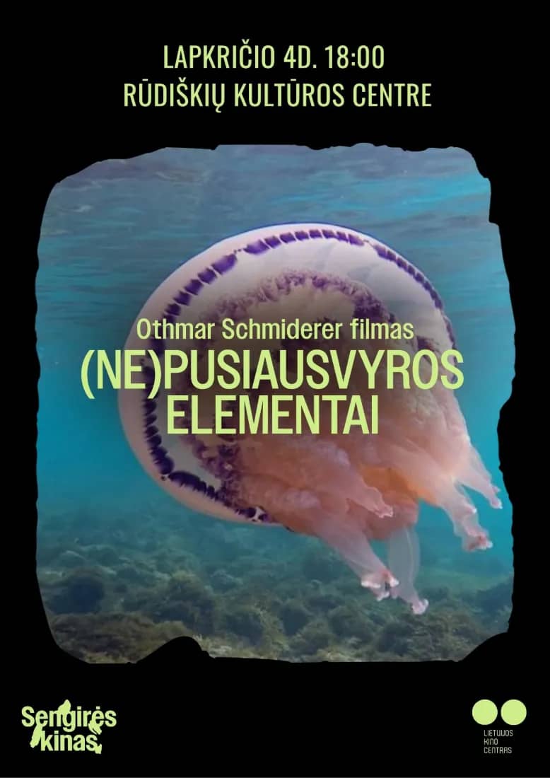 SENGIRĖS KINO RŪDIŠĶU KULTŪRAS CENTRĀ: (NE)PUSLĪDZSVAROTAIS ELEMENTS
