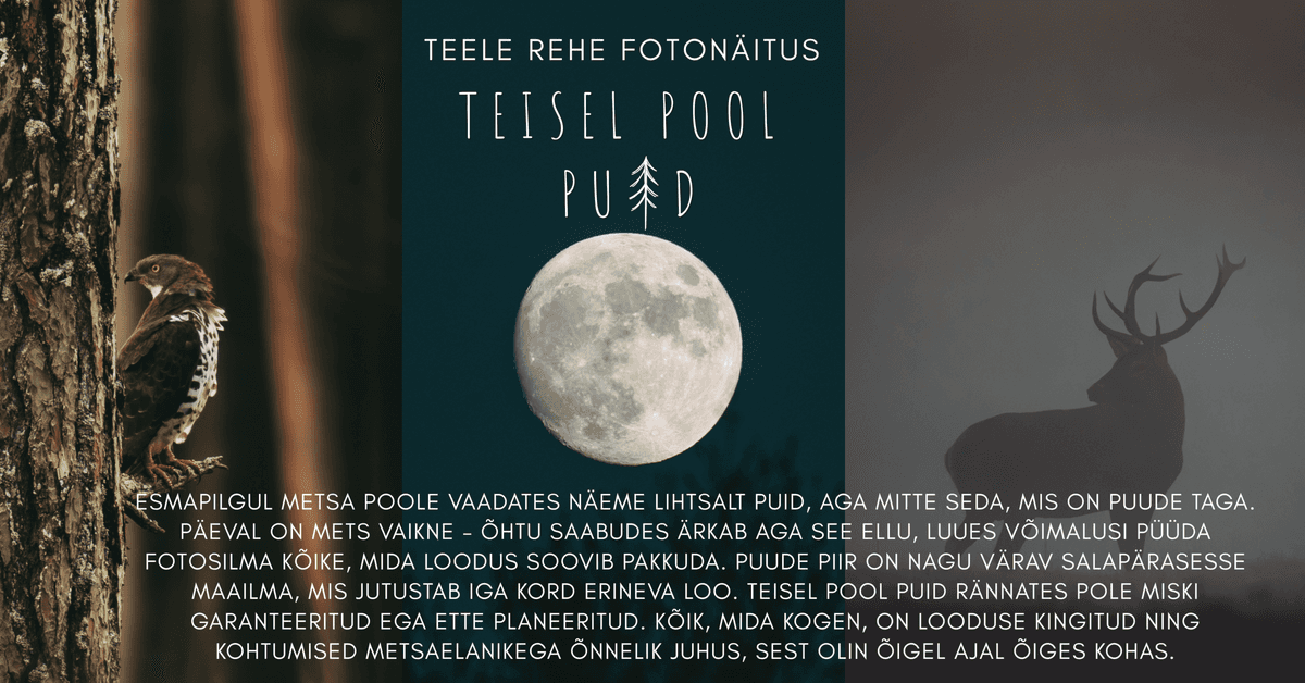Teele Rehe fotogrāfiju izstāde "Aiz koka"