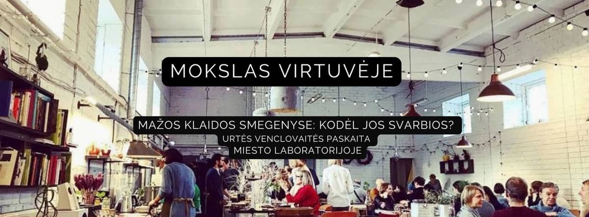 ZINĀTNE VIRTUVĒ: Mazas kļūdas smadzenēs
