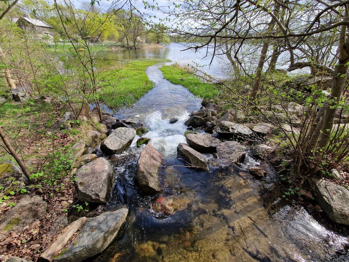 Dvarišķu Lentvara „Kilimu” pārgājiens